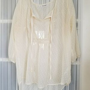 Sheer Blouse